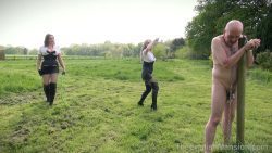 1403-tem - Bullwhipping Bitches Pt2 - Mistress Evilyne and Mistress Sidonia - Compl 00000