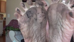 Violetbliss - JOI with dirty feet 00000