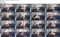 Cage Time With Greyhound Puppy Edition   04.04.22  02.ScrinList 200x125 - Rachel Greyhound PackVideo