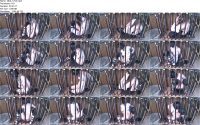 tdbd 1704.ScrinList 200x125 - Rachel Greyhound in a cage