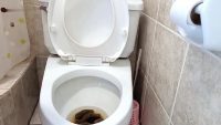 5667567Mirellabb – Eating My Dirty Toilet,after Pooing 00004