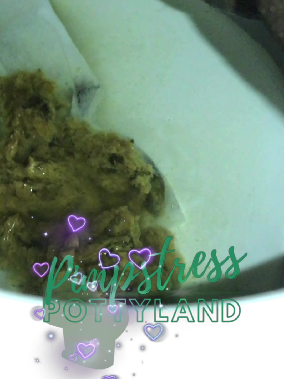 MistressThick – 3 shits one bidet – Poop Videos