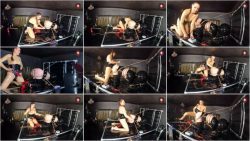 Dog5654656546gy Tie.ScrinList