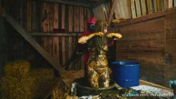 Lyndra Lynn-Sq768768567567567uid Game Manure_720p 00001