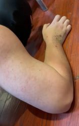 Nuoxi Dirty Domination 00000