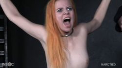 Peachrte7899786rtert Pi 00002