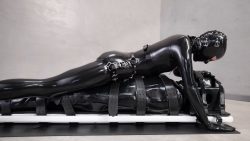 Vespa & Heavybon56546546546dage4life - Board Stiff 00000