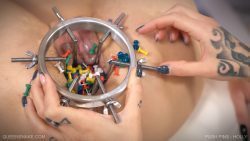 push-pins-holly-2160 00000