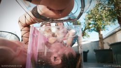 squirt-squad-2160 00000